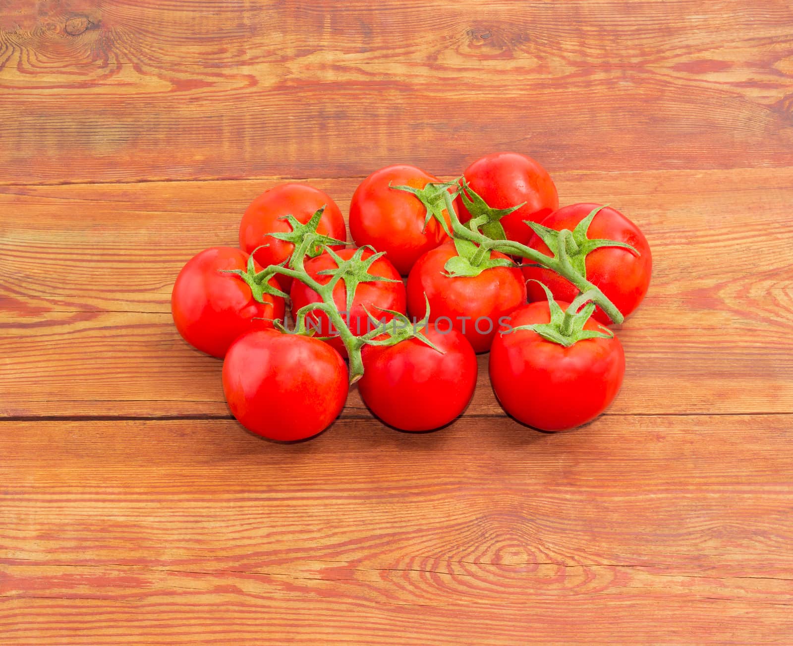 Two branches of the ripe red tomatoes with droplets of dew on a surface of the old wooden planks 
