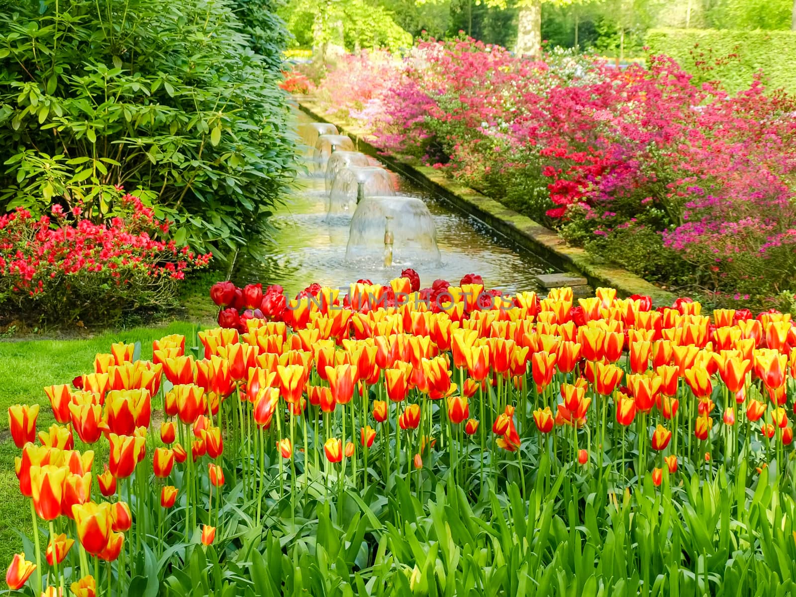 Corner of the garden with flowering plants, small reservoir and red-yellow tulips in the foreground in Keukenhof Park
