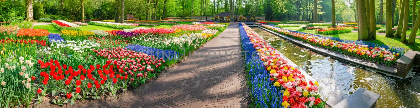 Panorama of several flowerbeds with tulips and other flowers  by anmbph