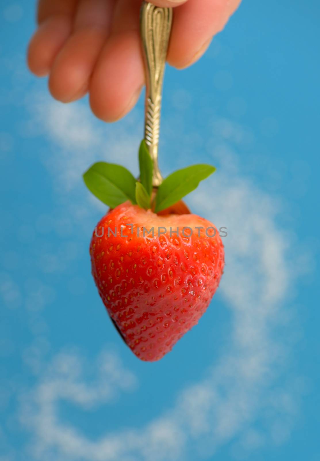 A heart shaped strawberry in spoon and sugar on background