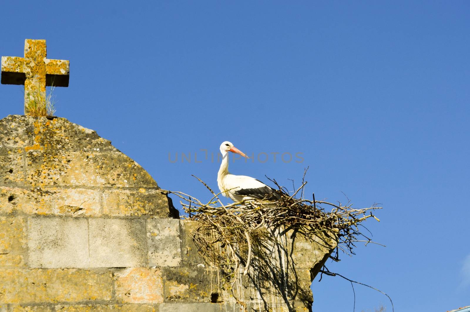 Stork in its nest perched on the portico of the church of Saint-Maurice in Damvillers in the north of France