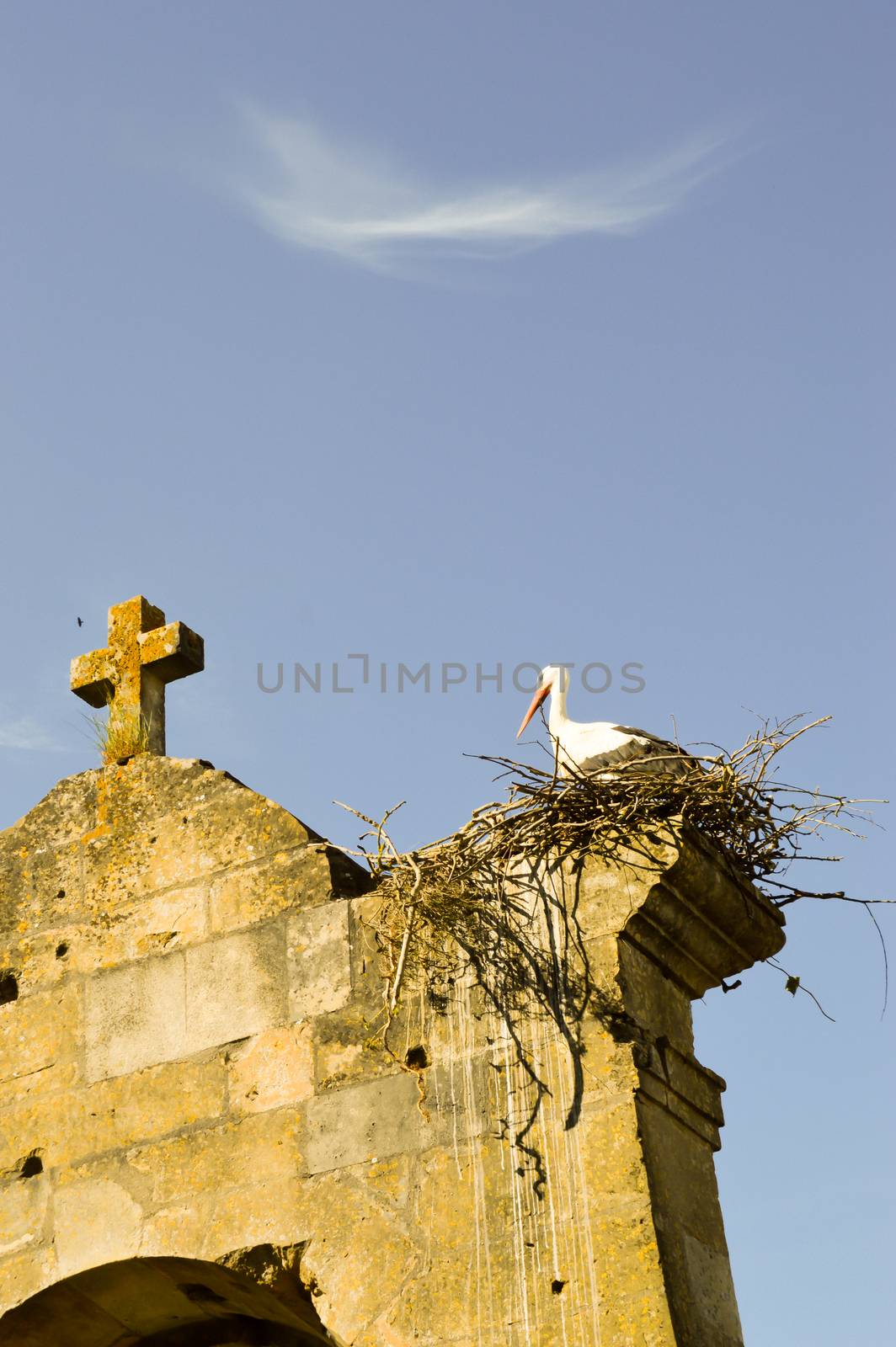Stork in its nest perched on the portico of the church of Saint-Maurice in Damvillers in the north of France
