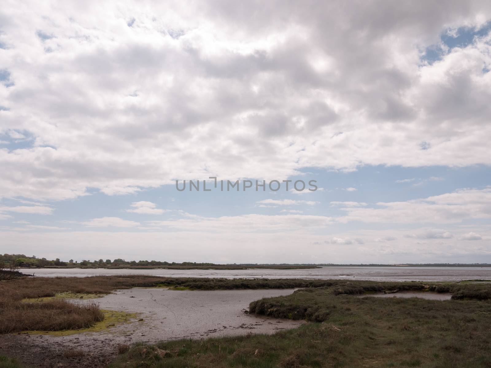 landscape shot of seaside environment where birds rest and nest with mud pools and rocks and moss with white cloudy clear blue sky beach