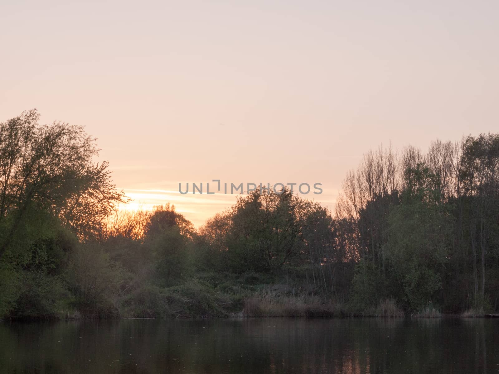 a beautiful sunset over a lake with trees and reeds by callumrc