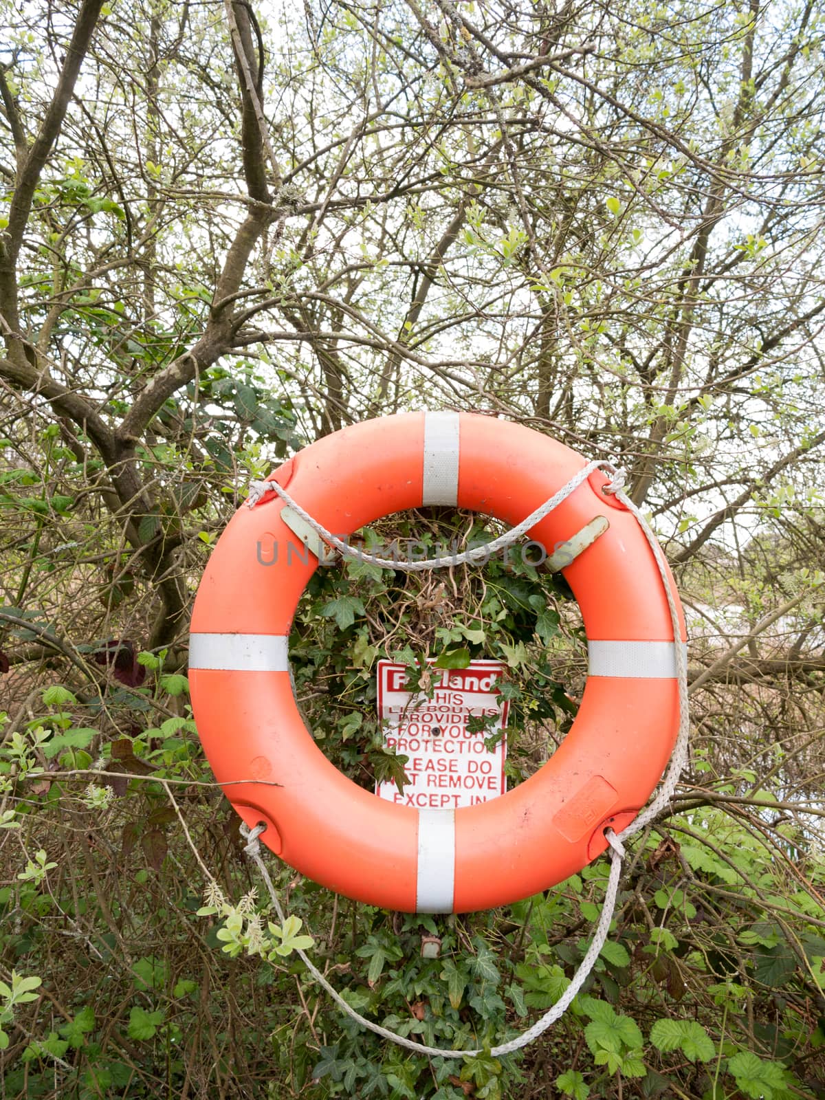 an orange and silver life buoy with rope with a safety sign behind it in the forest next to a lake in day light