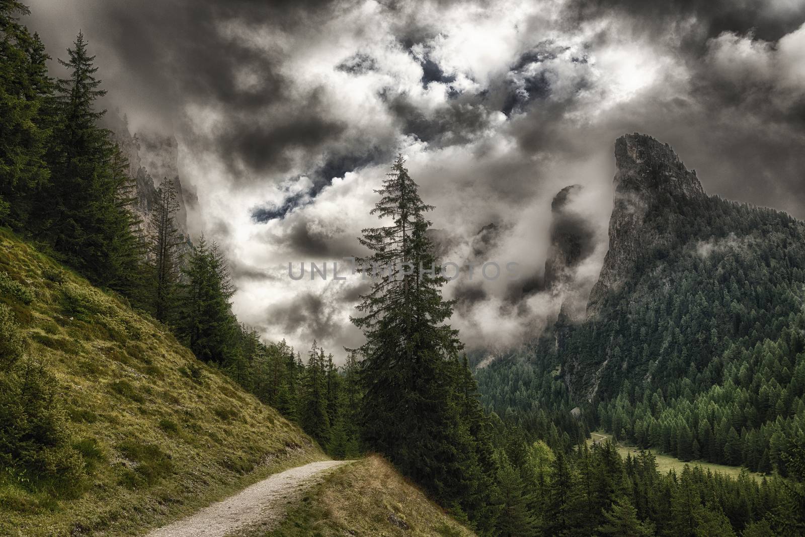 path through the forest with the top of the mountains wrapped in threatening clouds, Vallunga near the little city of Selva di Val Gardena - Trentino-Alto Adige