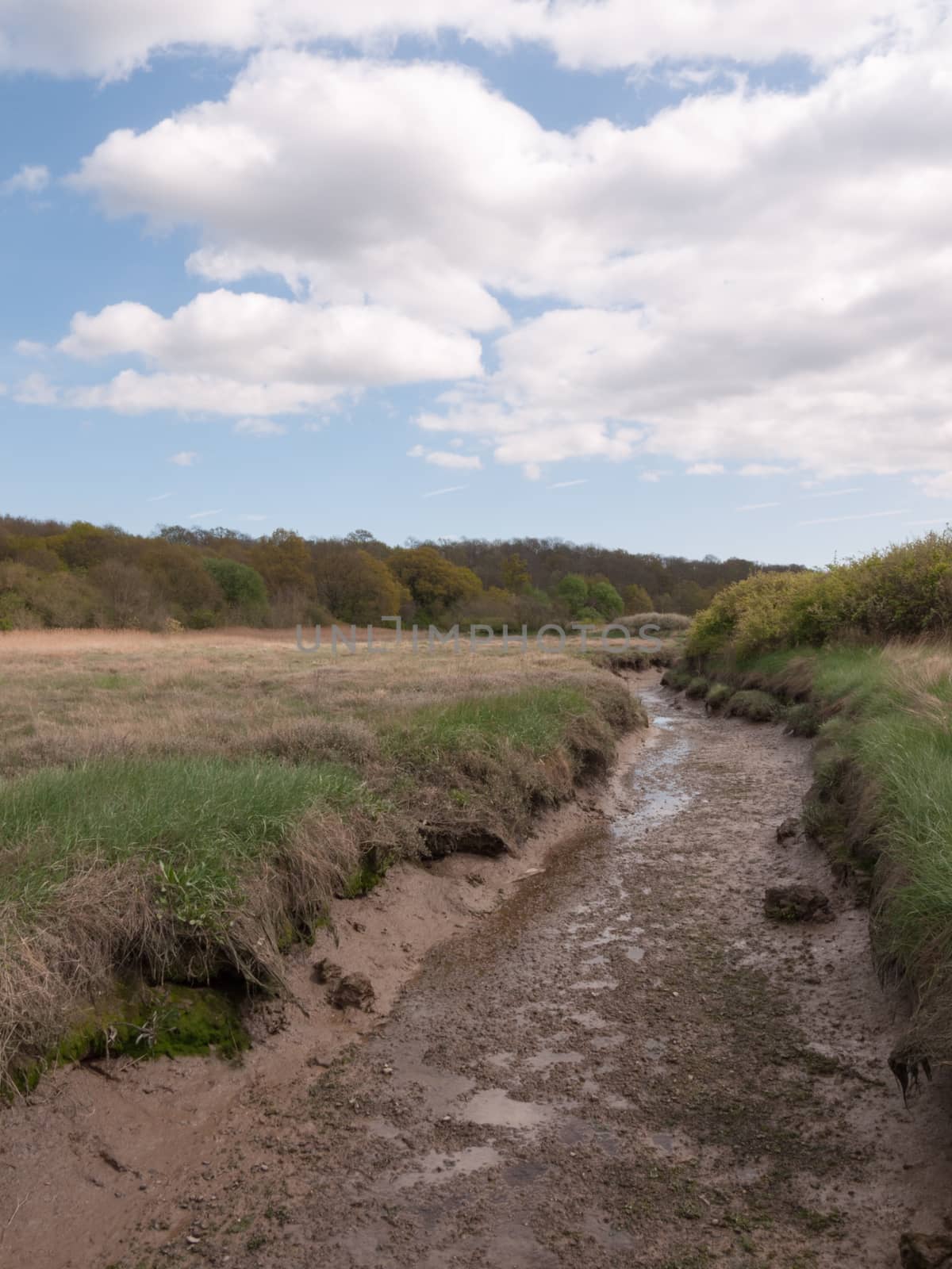 a shallow ditch of shining mud outside in a field in the country next to a running river, taken from a bridge in day time with white clouds overhead in the blue sky in spring