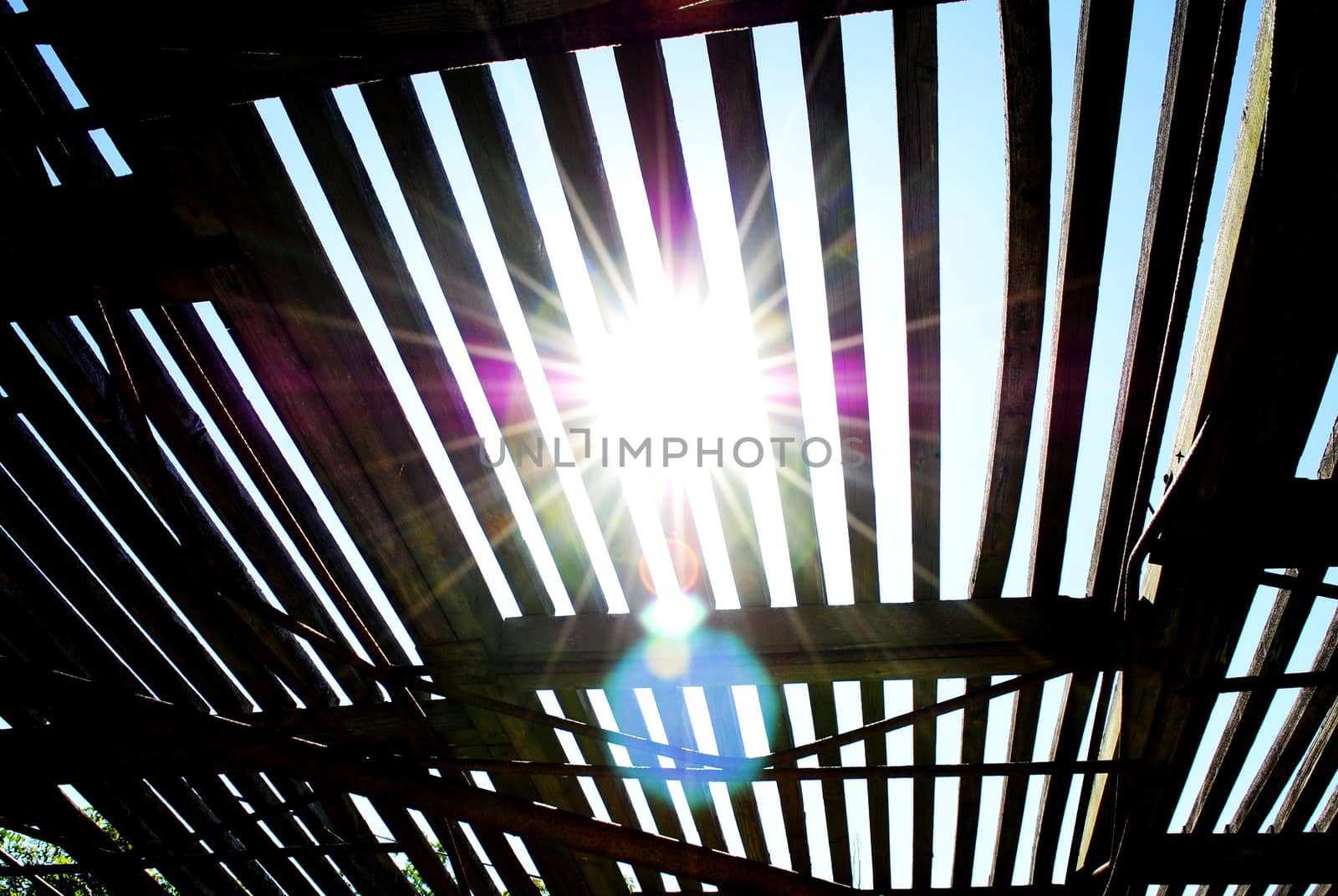 The bright rays of the sun make their way through the summer roof in the form of a lattice