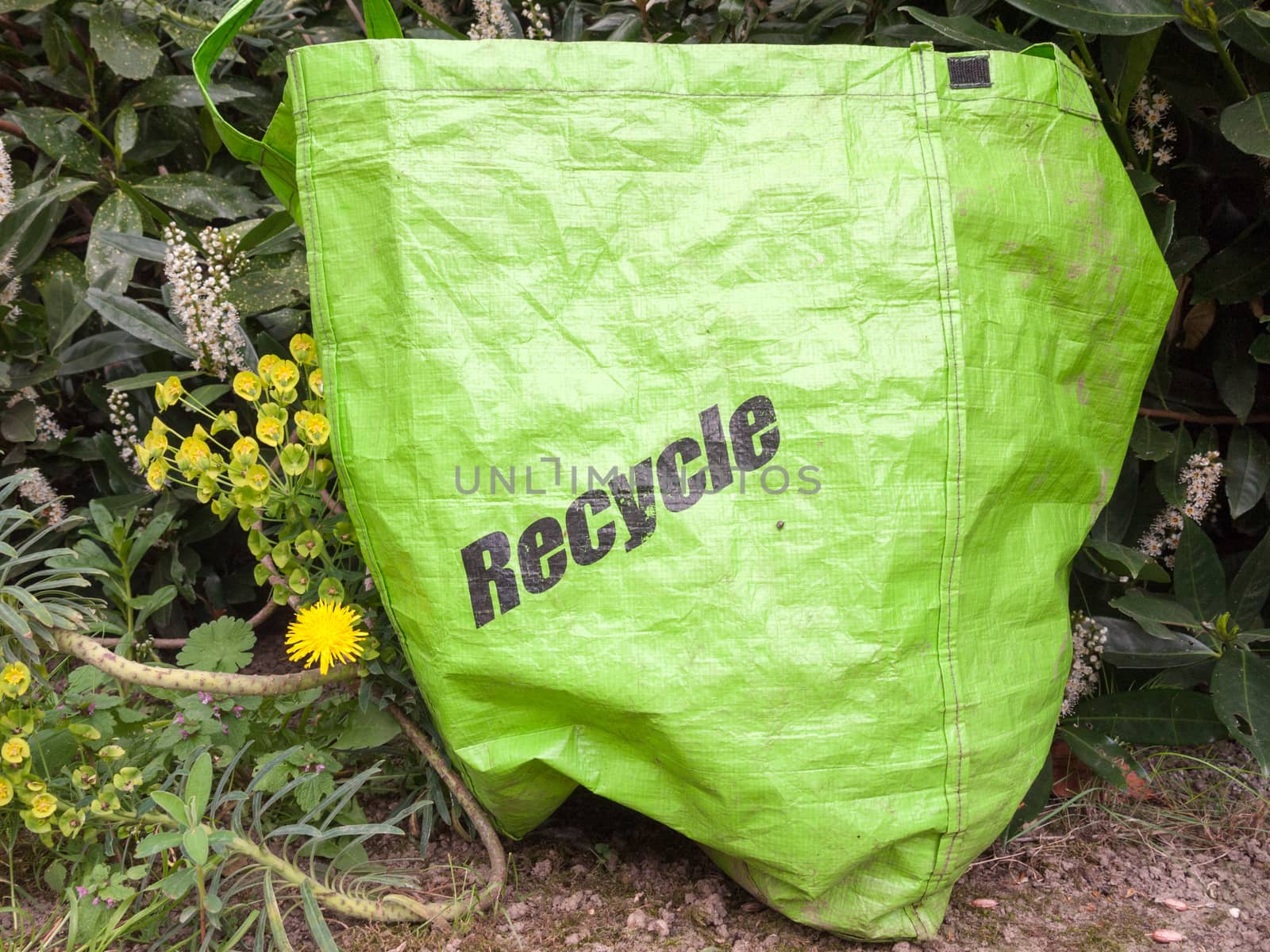 an eco friendly recycle green long life bag outside on the groun by callumrc