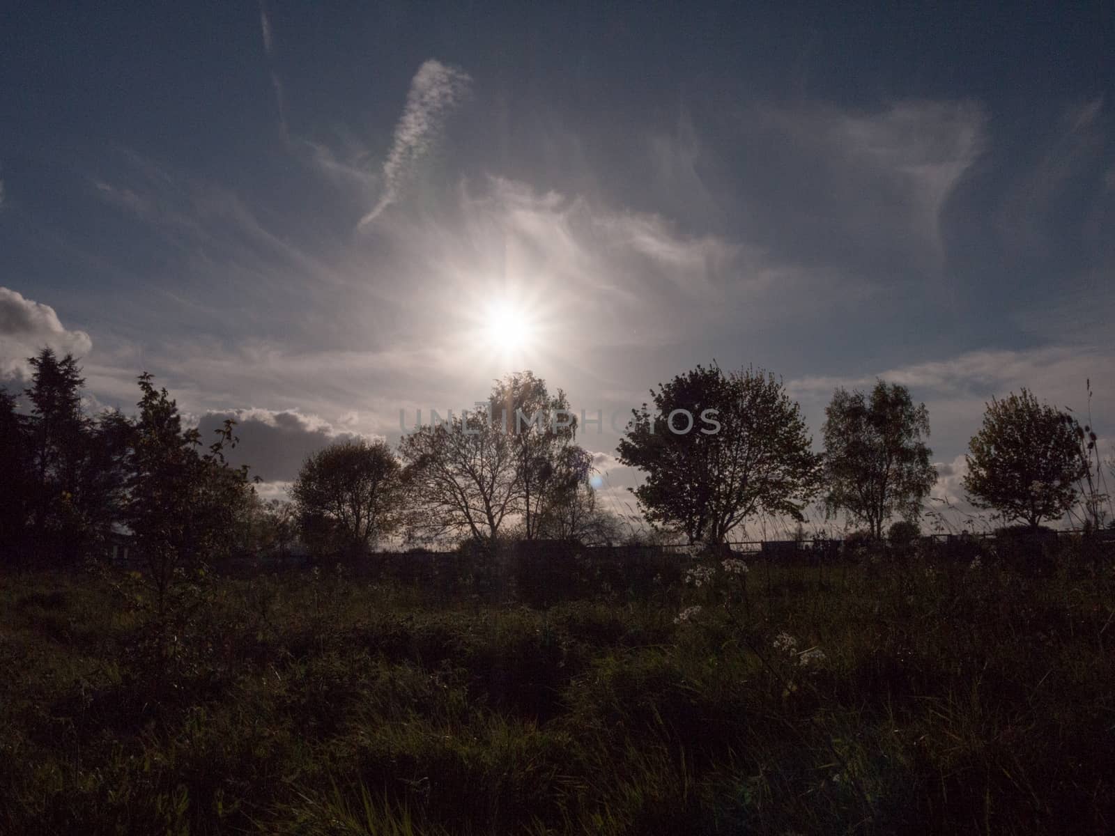 the sun setting going down in the sky over tree tops and land with shrubs and plants with sun flare and streaked white blue sky in spring