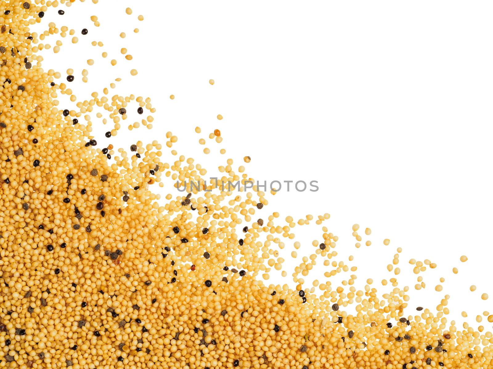 amaranth seeds with copy space. Isolated one edge. Top view or flat lay.