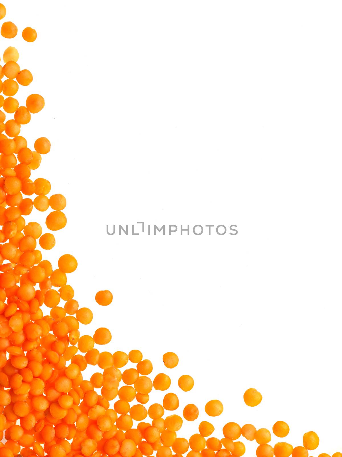 Red orange lentil Football type with copy space. Isolated one edge. Top view or flat lay. Vertical.