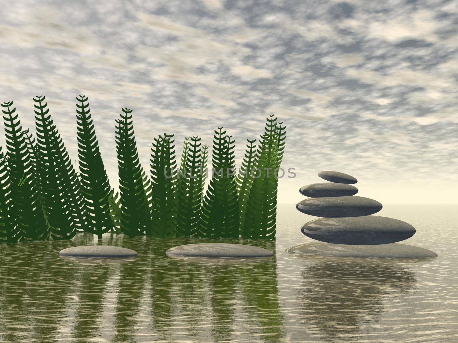 Beautiful zen landscape in the middle of aquatic herbs - 3D rendering