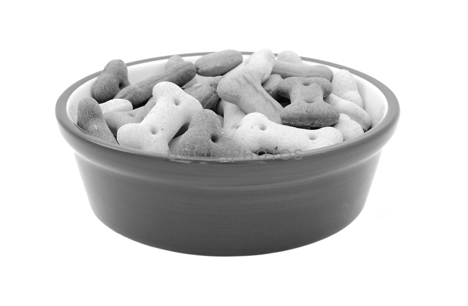 Dry bone-shaped dog biscuits in a pet food bowl, isolated on a white background