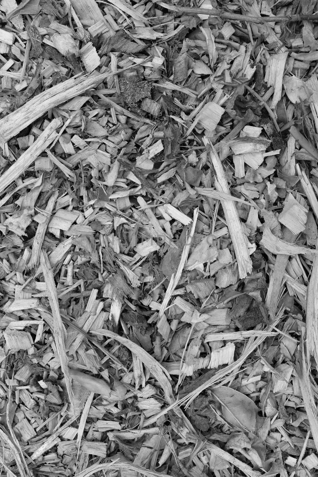 Bark, leaves and wood chippings mulch as an abstract coarse background texture