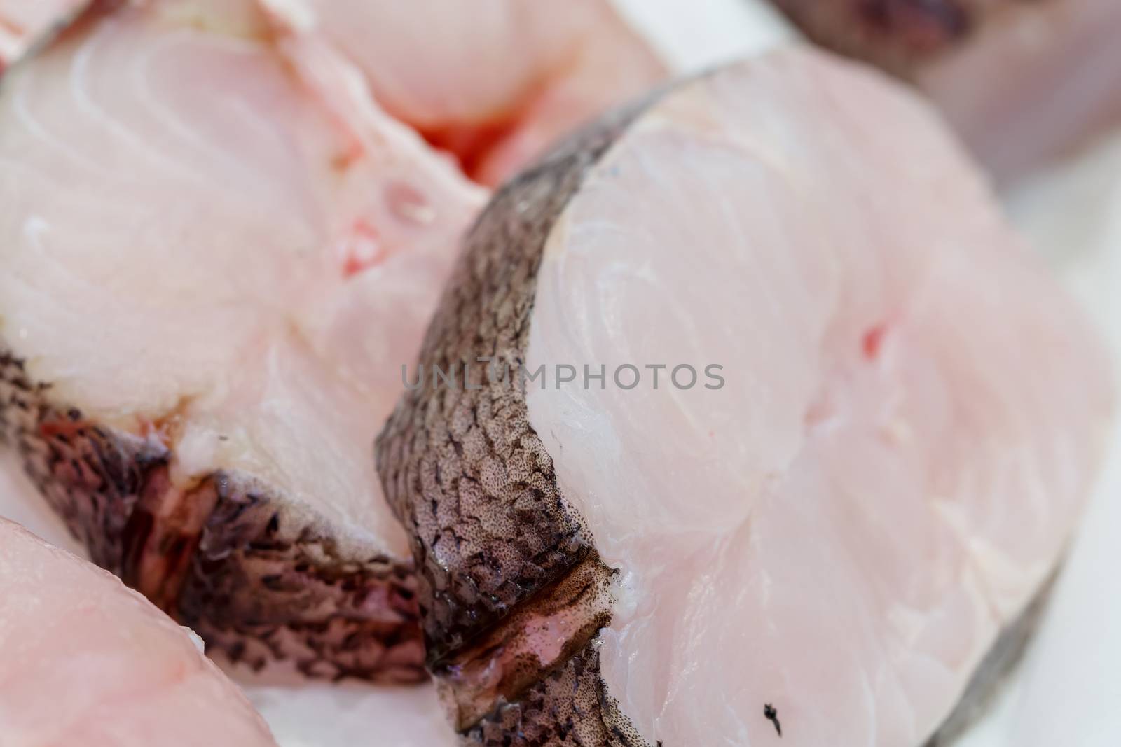 fresh pieces of hake on showcase of seafood market by pixinoo