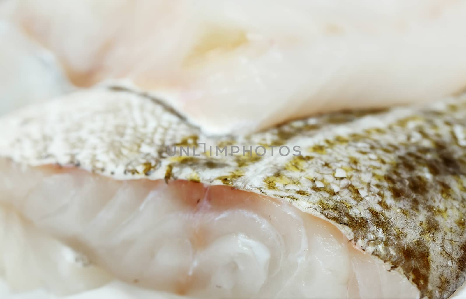 fresh uncooked sea bass filet on showcase of seafood market by pixinoo
