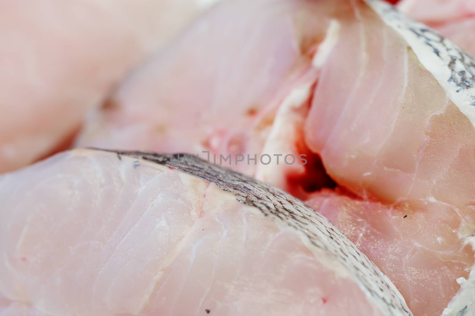 fresh pieces of hake on showcase of seafood market by pixinoo