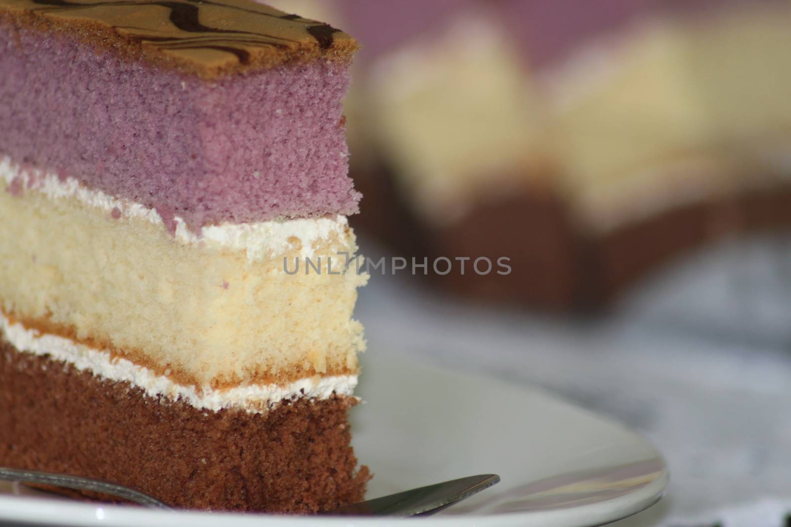 Three colored piece of cake. Chocolate, vanilla and blueberry.