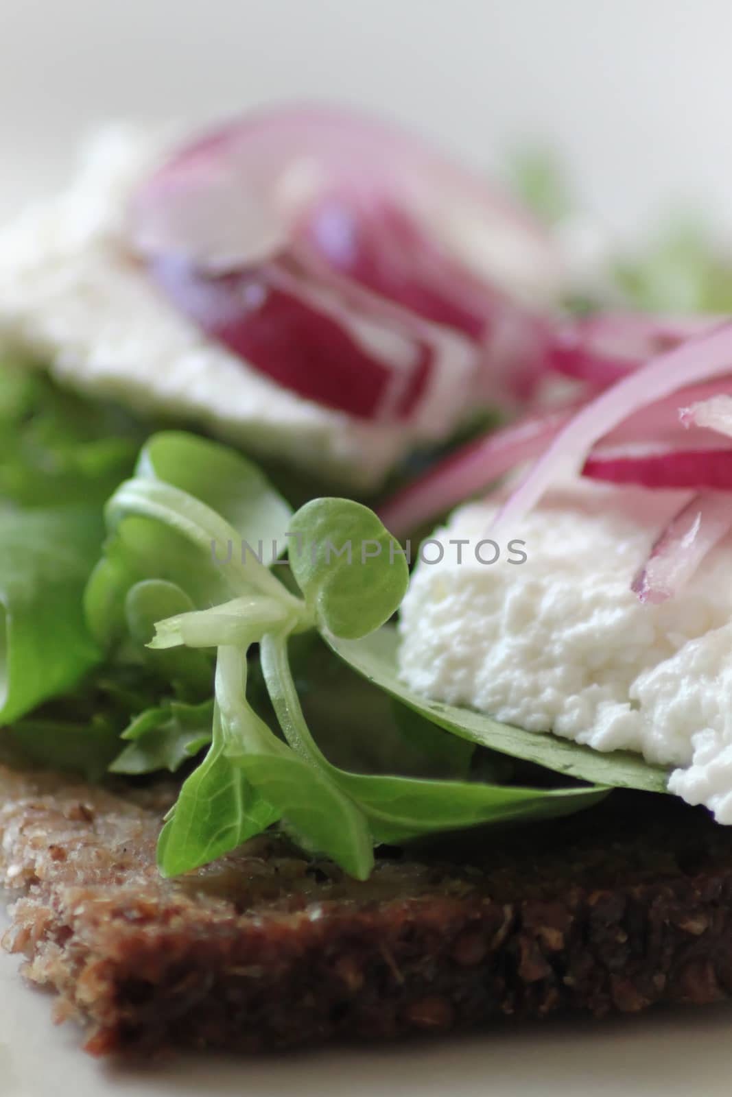 Sandwich with black bread, cottage cheese, rucola, onion.