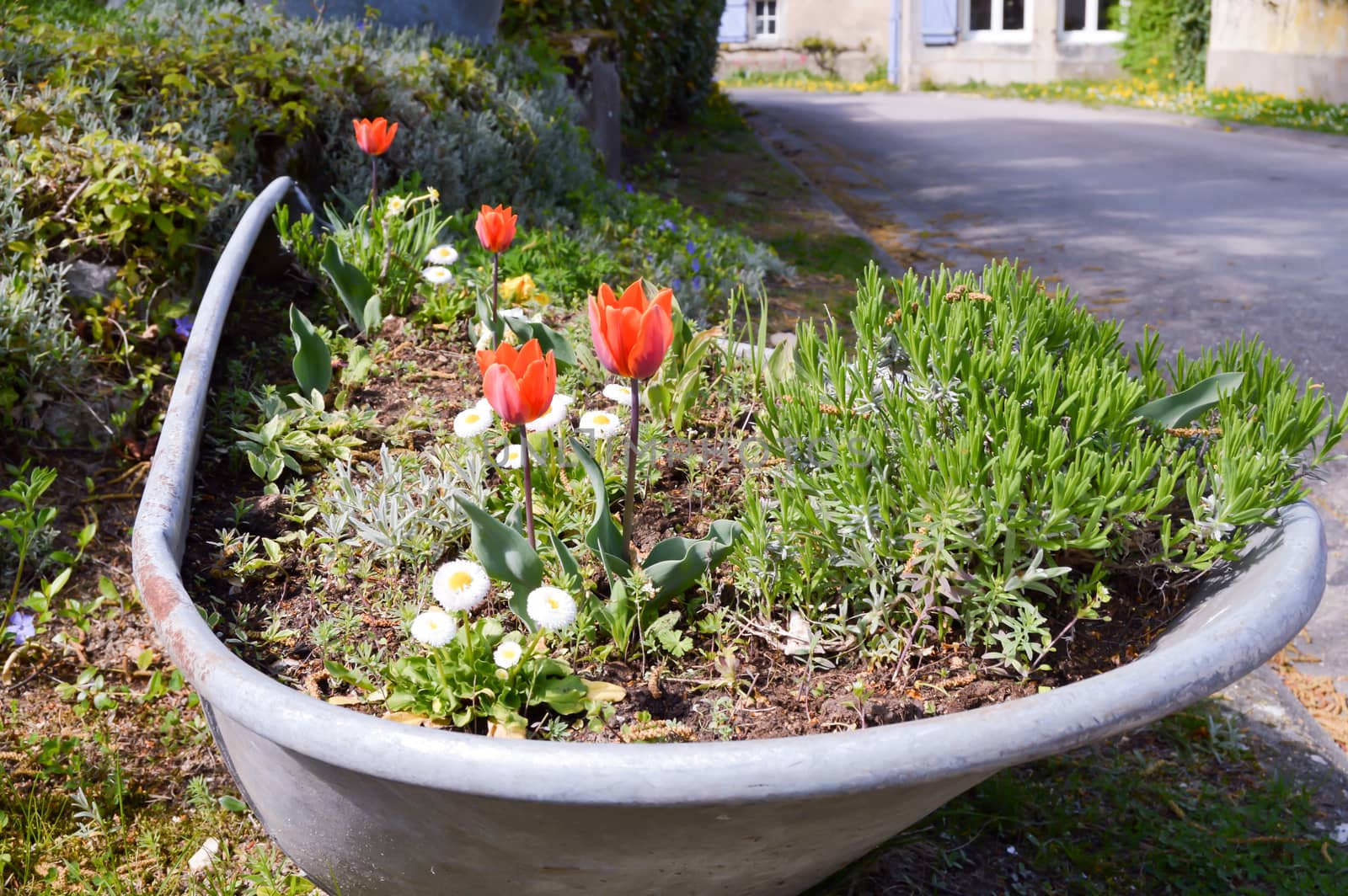 Old tub converted into a flower box by Philou1000