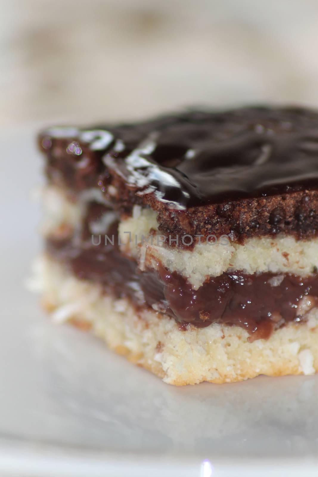 Black and white piece of cake with chocolate on it.