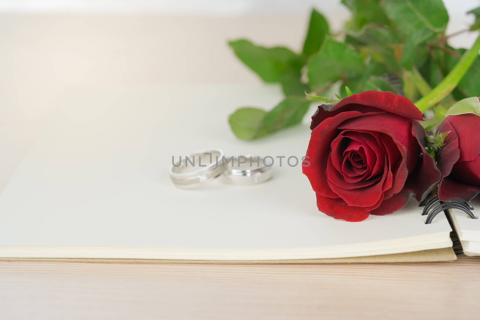 Red roses and rings for marriage proposal.