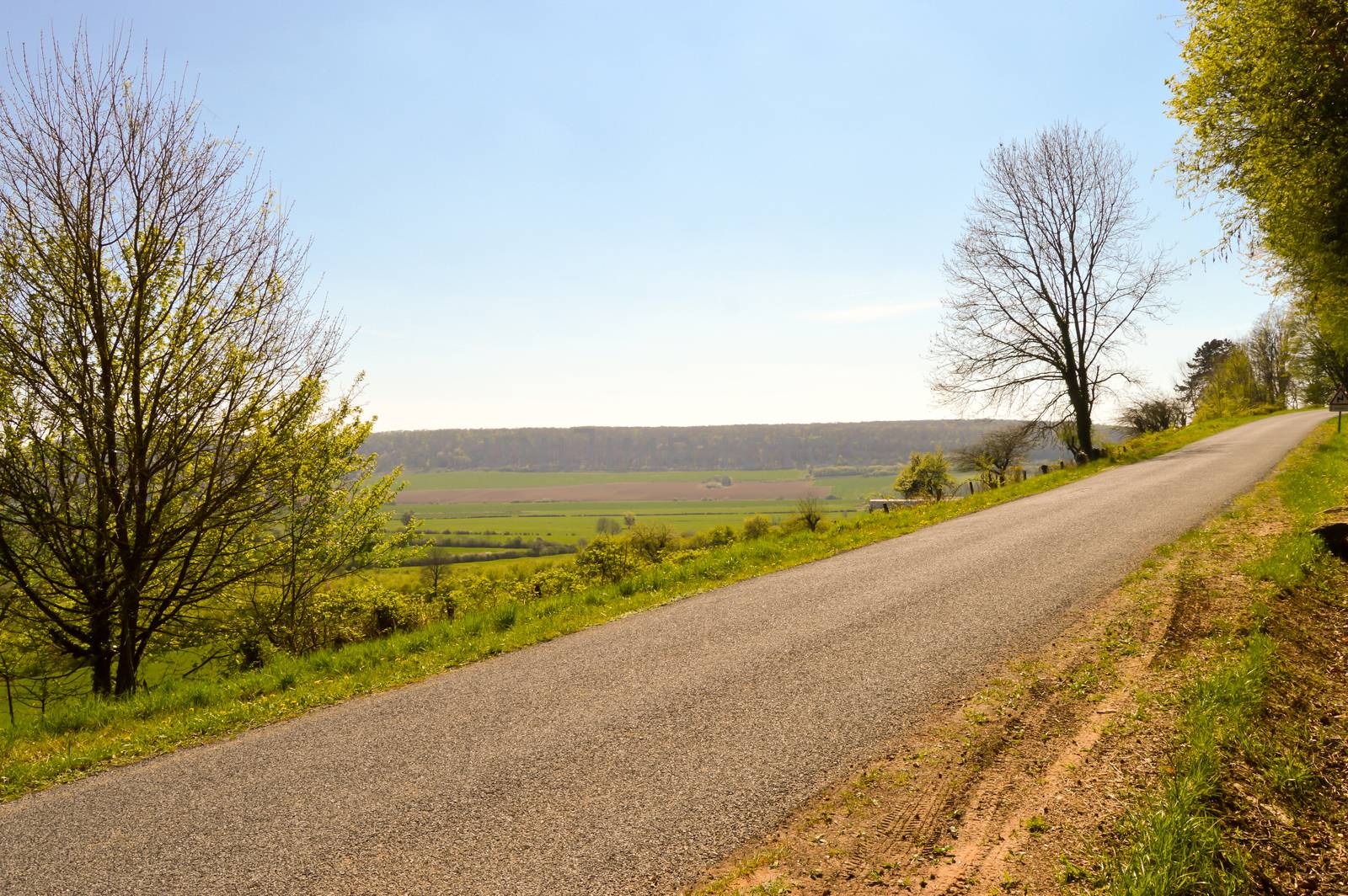 Small winding road in the countryside of the Meuse in France
