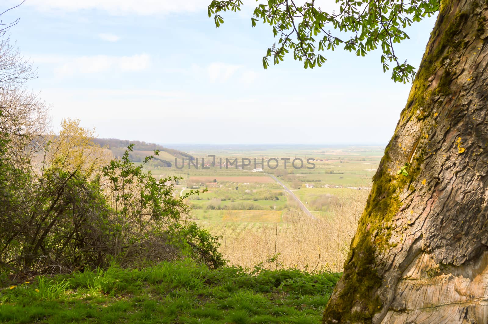 A view of the countryside of the lake of Madine in France