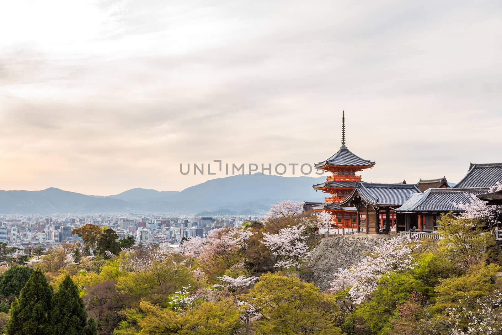 Kiyomizu dera temple in spring by t0pkul3