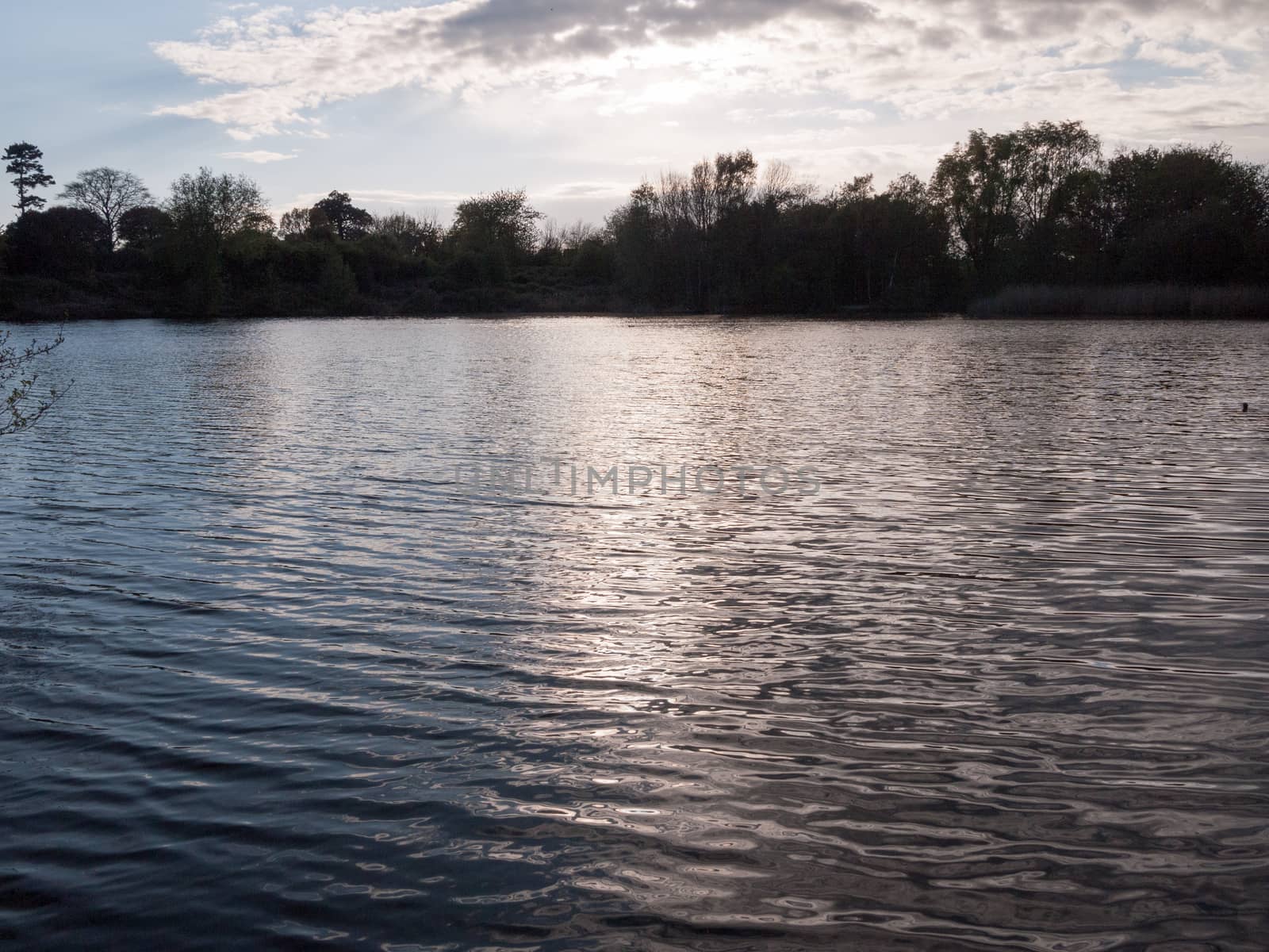 sunset over a lake in spring with moving waves ripples and clouds with trees around water in spring beauty lovely day with sun shining