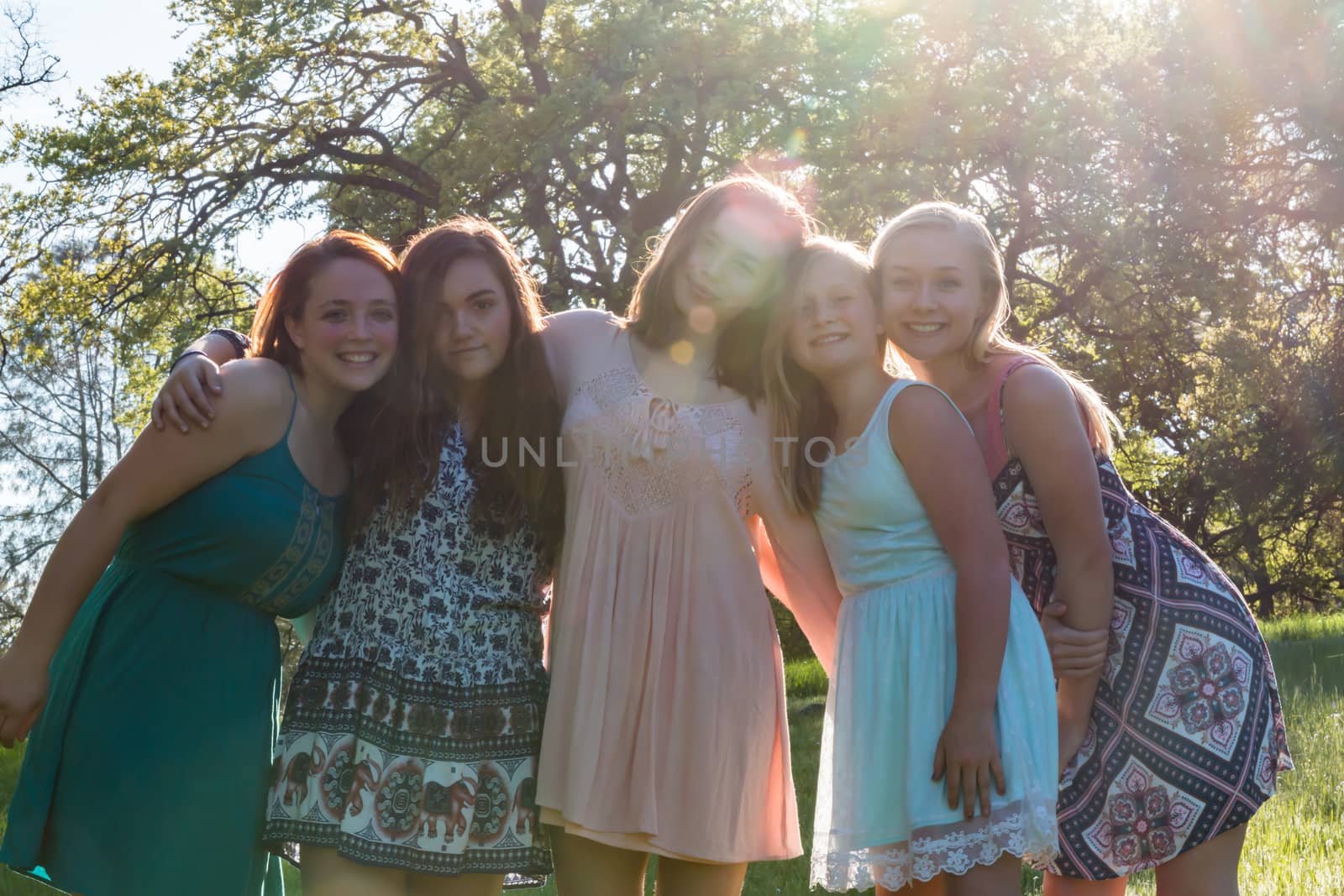 Young Girls Standing Together in Green Field With Trees in the Background and Sunlight Overhead