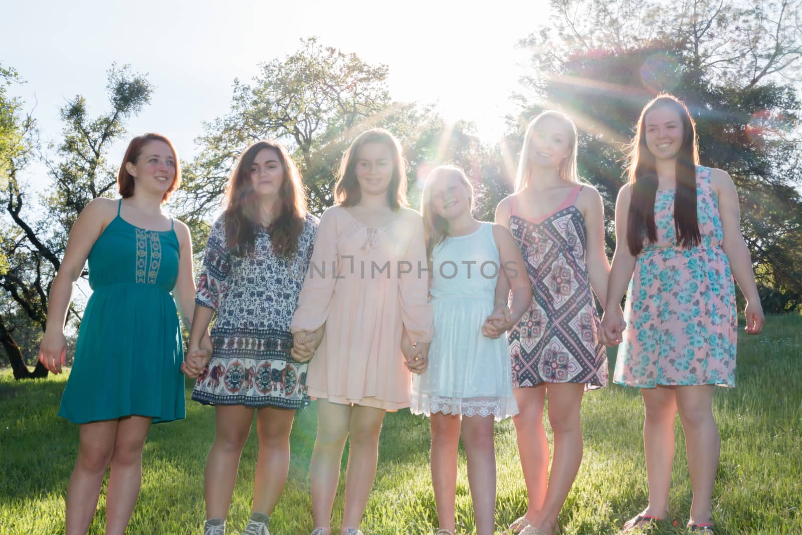 Young Girls Standing Together in Green Field With Trees in the Background and Sunlight Overhead