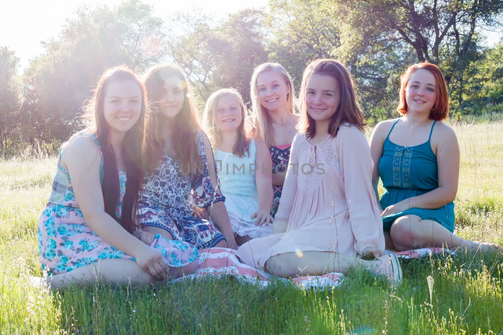 Group of Girls Sitting Together in Grassy Field With Sunlight Overhead