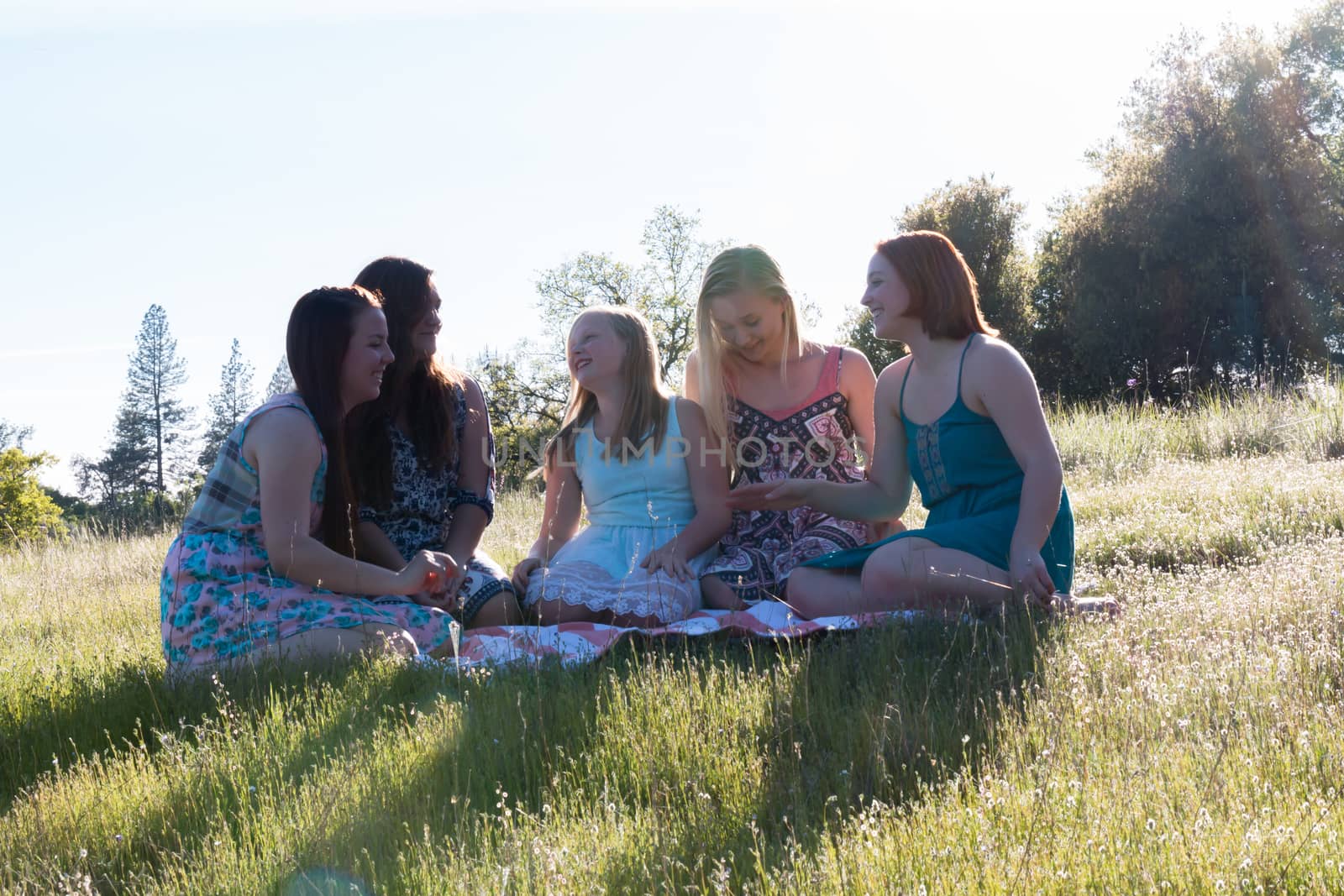 Group of Girls Sitting Together in Grassy Field With Sunlight Overhead