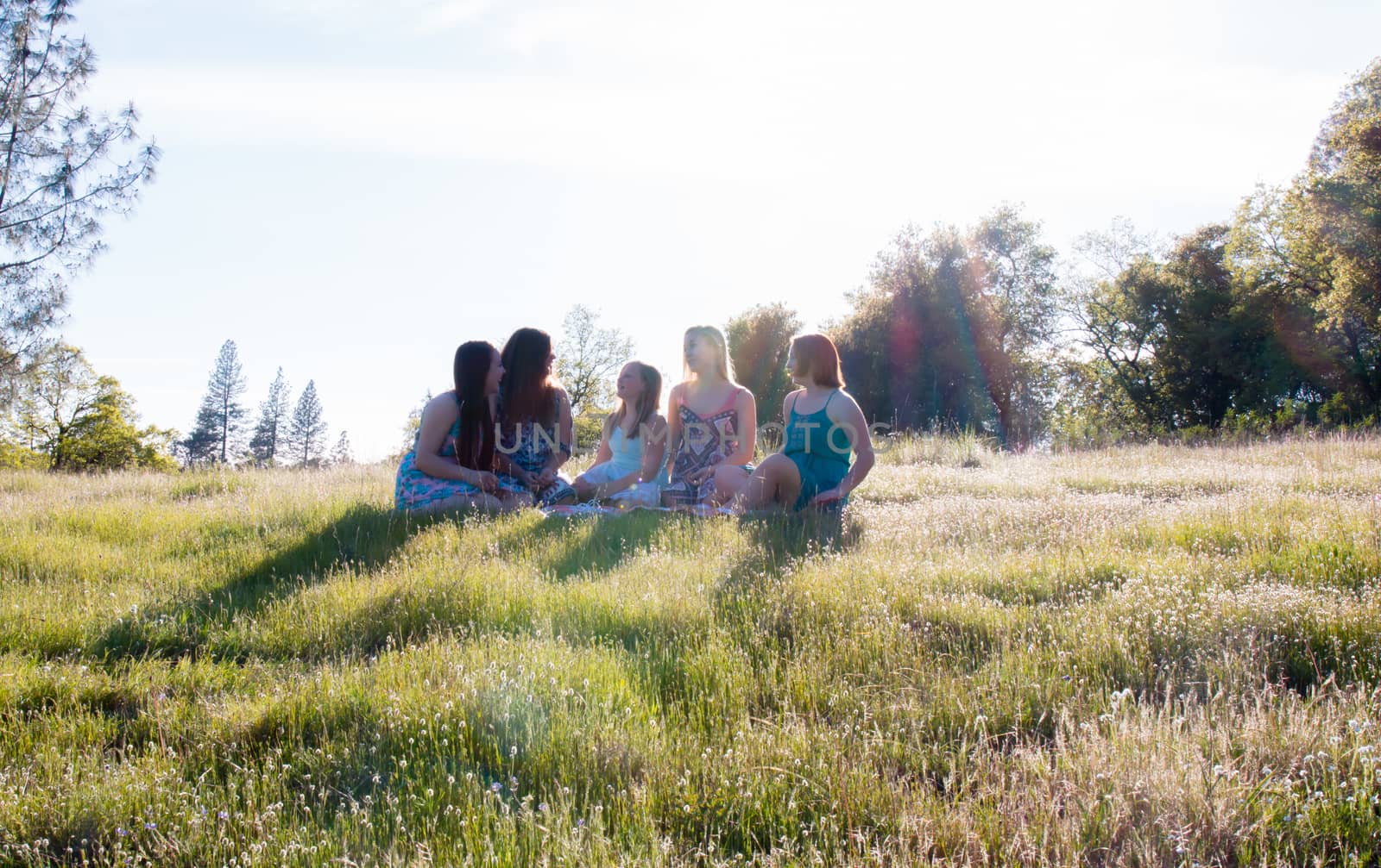 Group of Girls Sitting Together in Grassy Field With Sunlight Overhead