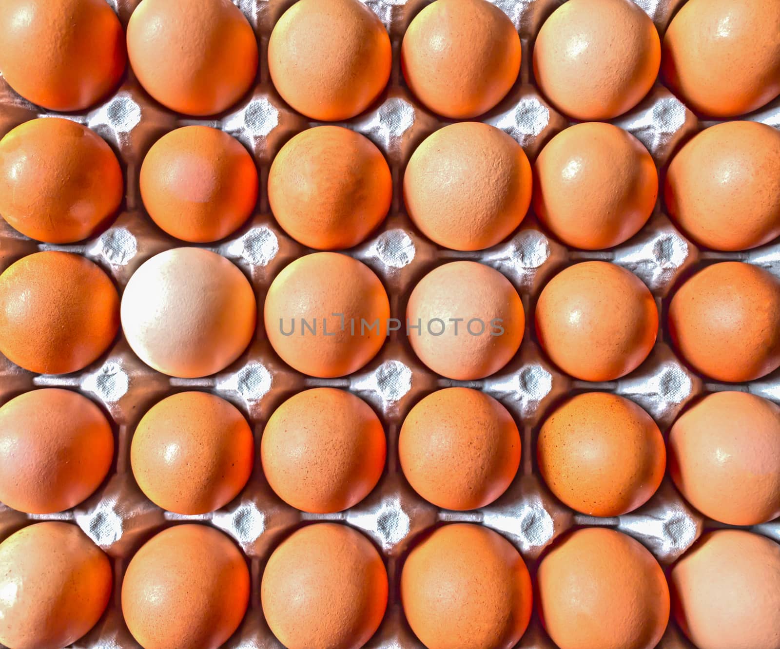 Close up of Raw Brown Eggs in Gray Container