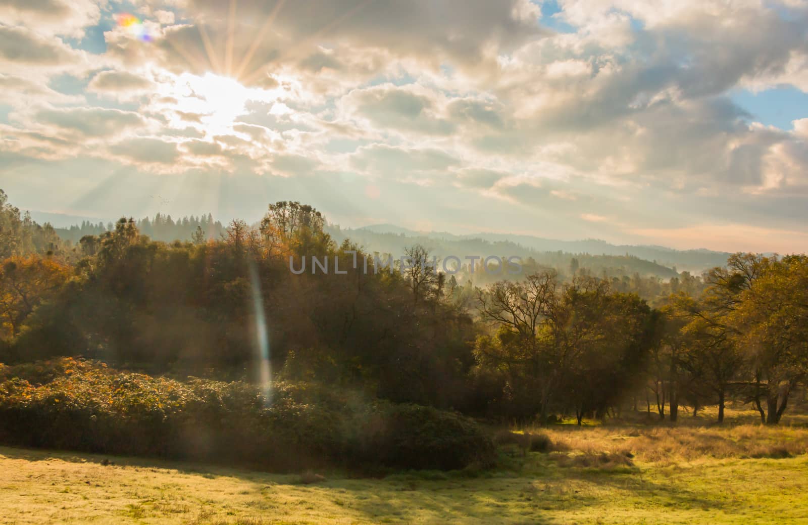 Sunlight Shinning Through the Morning Clouds Over the Forest