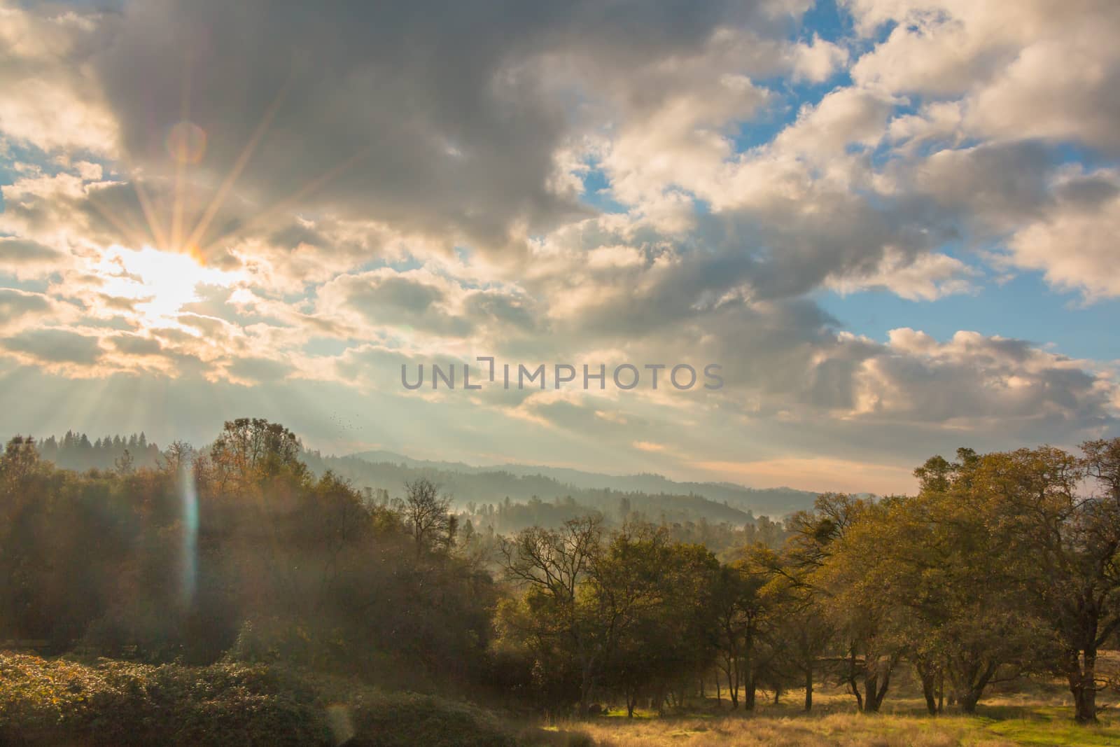 Sunlight Shinning Through the Morning Clouds Over the Forest