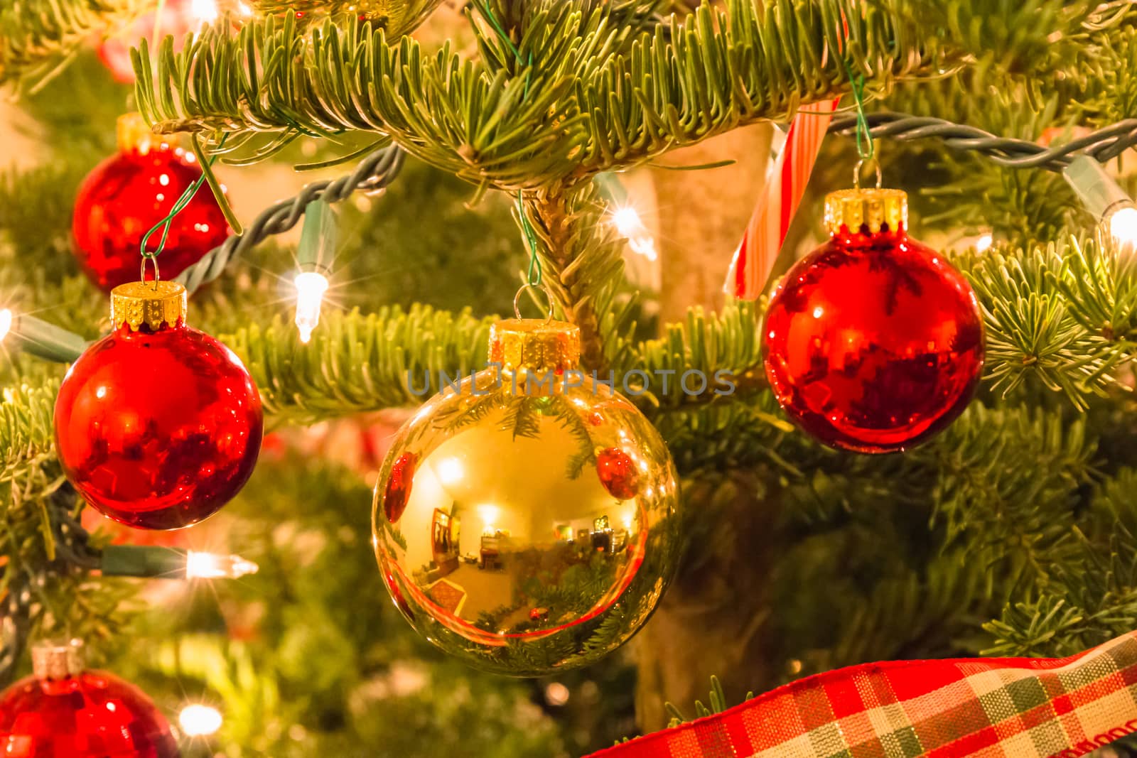 Beautiful Christmas Ornaments Hanging on a Pine Tree