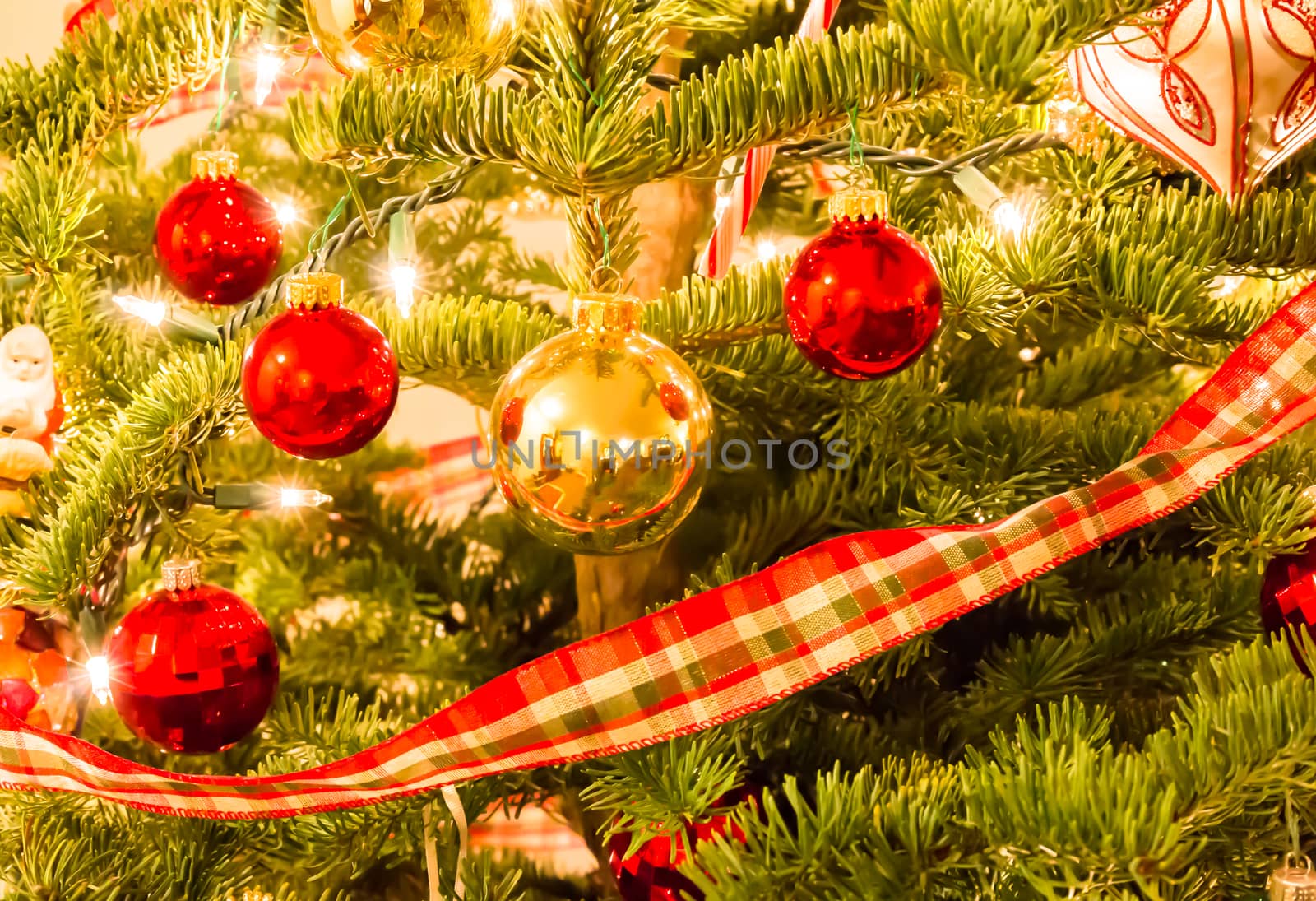 Beautiful Christmas Ornaments Hanging on a Pine Tree