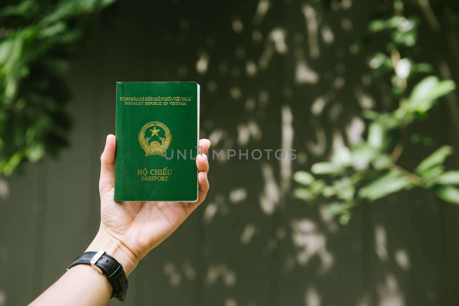Man hands holding Vietnamese Passport. Ready for traveling. by makidotvn