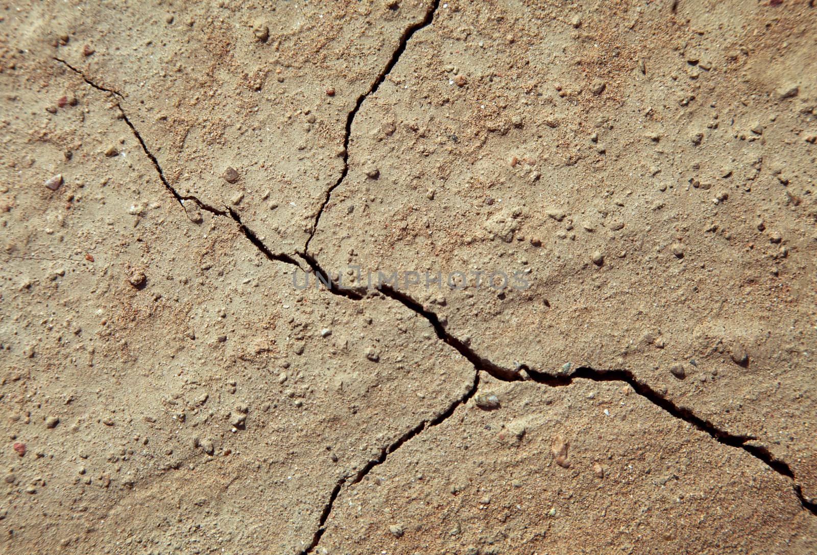Close-up of earth cracked because of drought