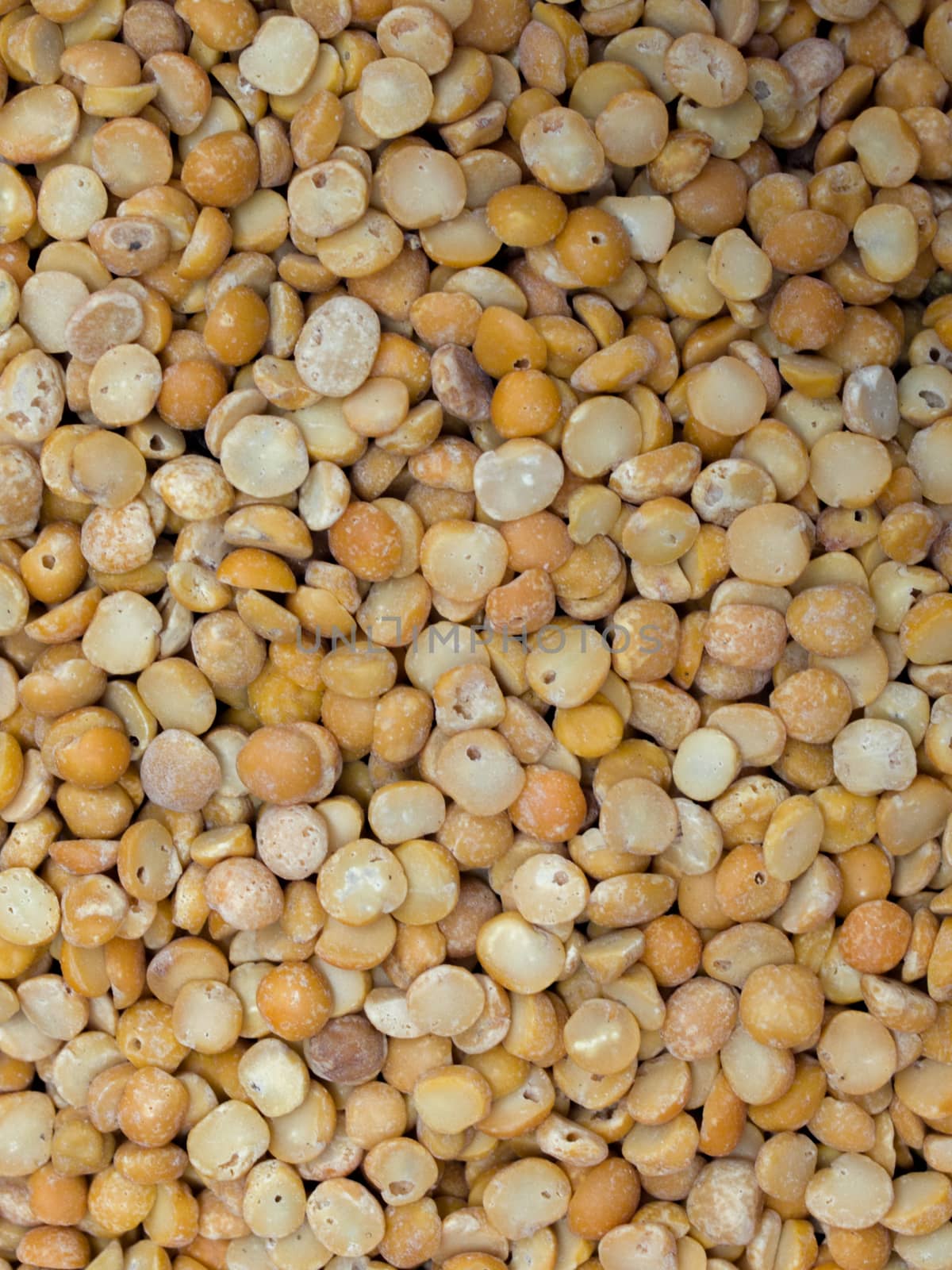 CHICKPEA OR CHICK PEA (CICER ARIETINUM) by PrettyTG