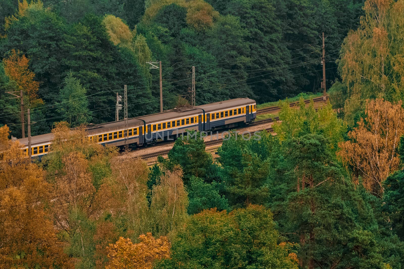Passenger electric train by sengnsp