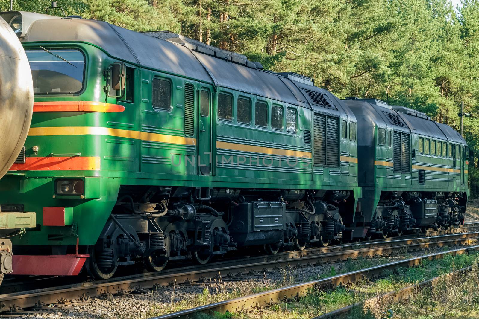 Green diesel cargo locomotive in forest