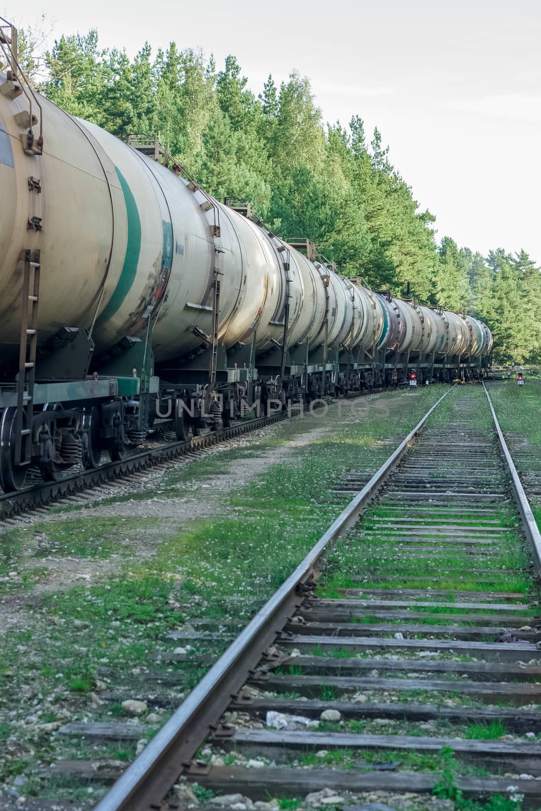 Tank wagons with oil. Freight train in forest