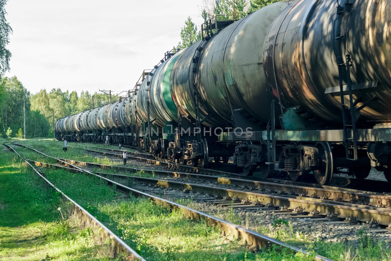 Tank wagons with oil. Freight train in forest