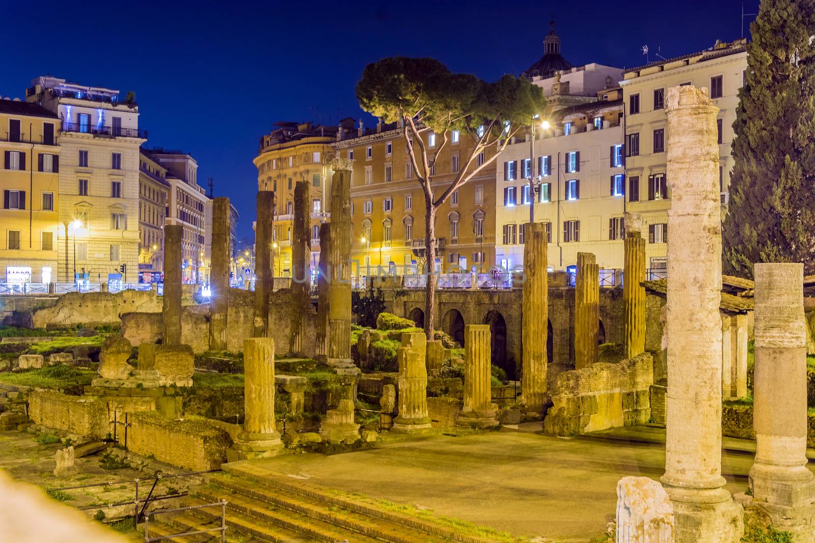 Night shot of the Archaeological area of Largo di Torre Argentina in Rome. Largo di Torre Argentina is popular tourist attraction in Rome.