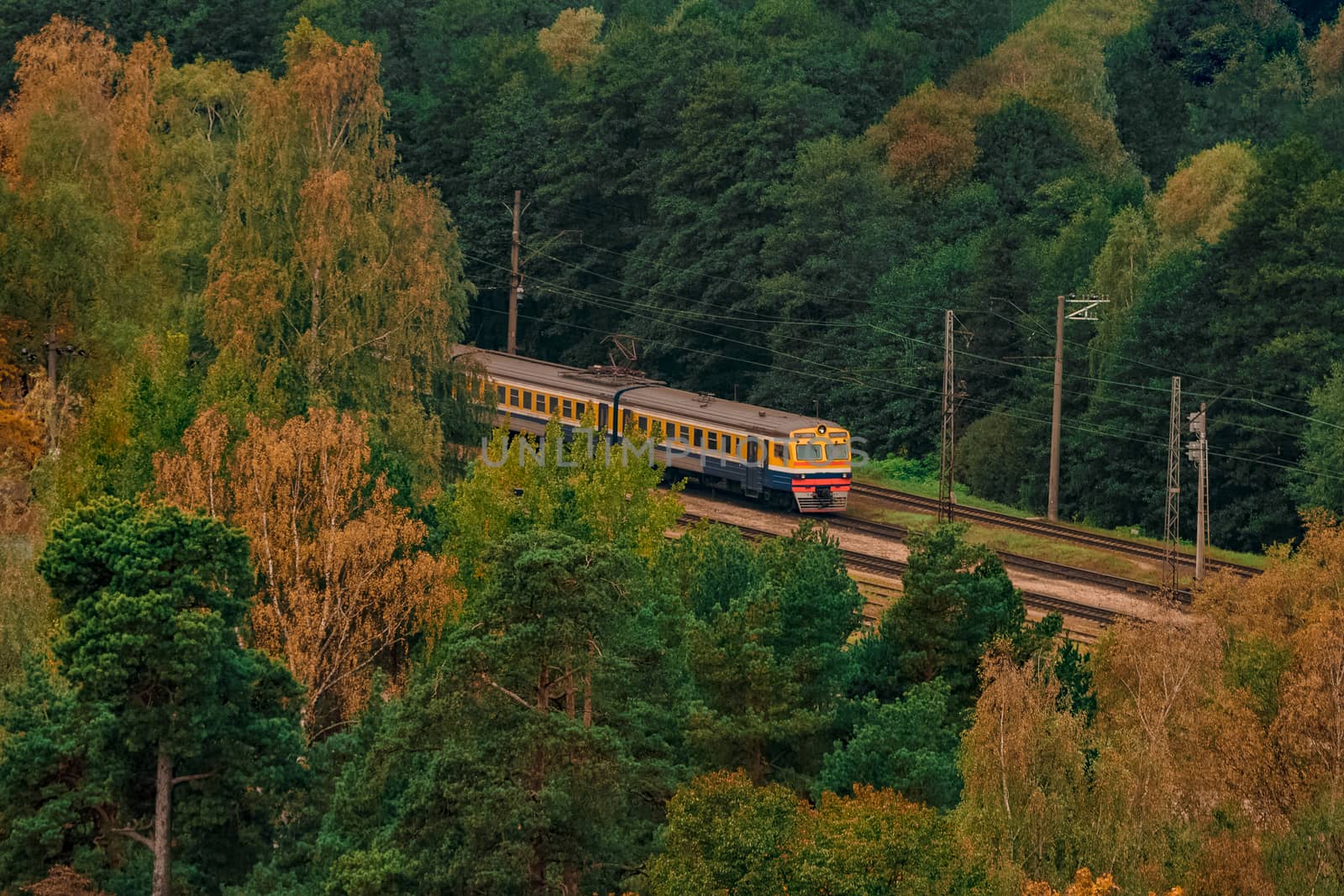 Passenger electric train moving through the forest in Riga